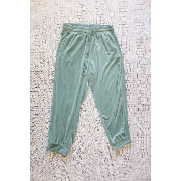 Anthropologie Saturday Sunday Merida Velvet Jogger Pants Size L Mint Green - Picture 9 of 11